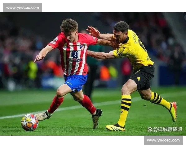 德甲巨星转会传闻再起！拜仁慕尼黑瞄准谁